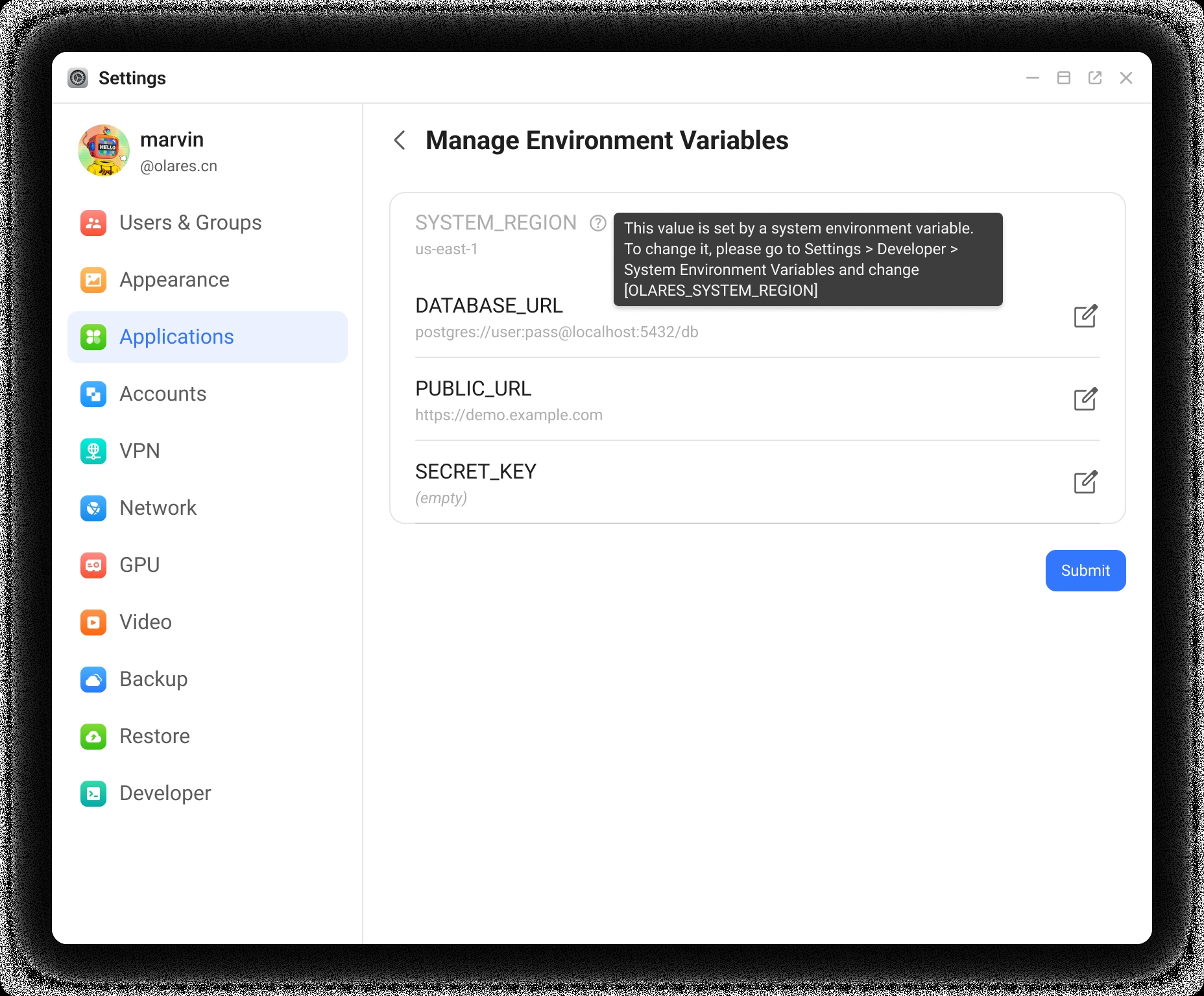 Application environment variables