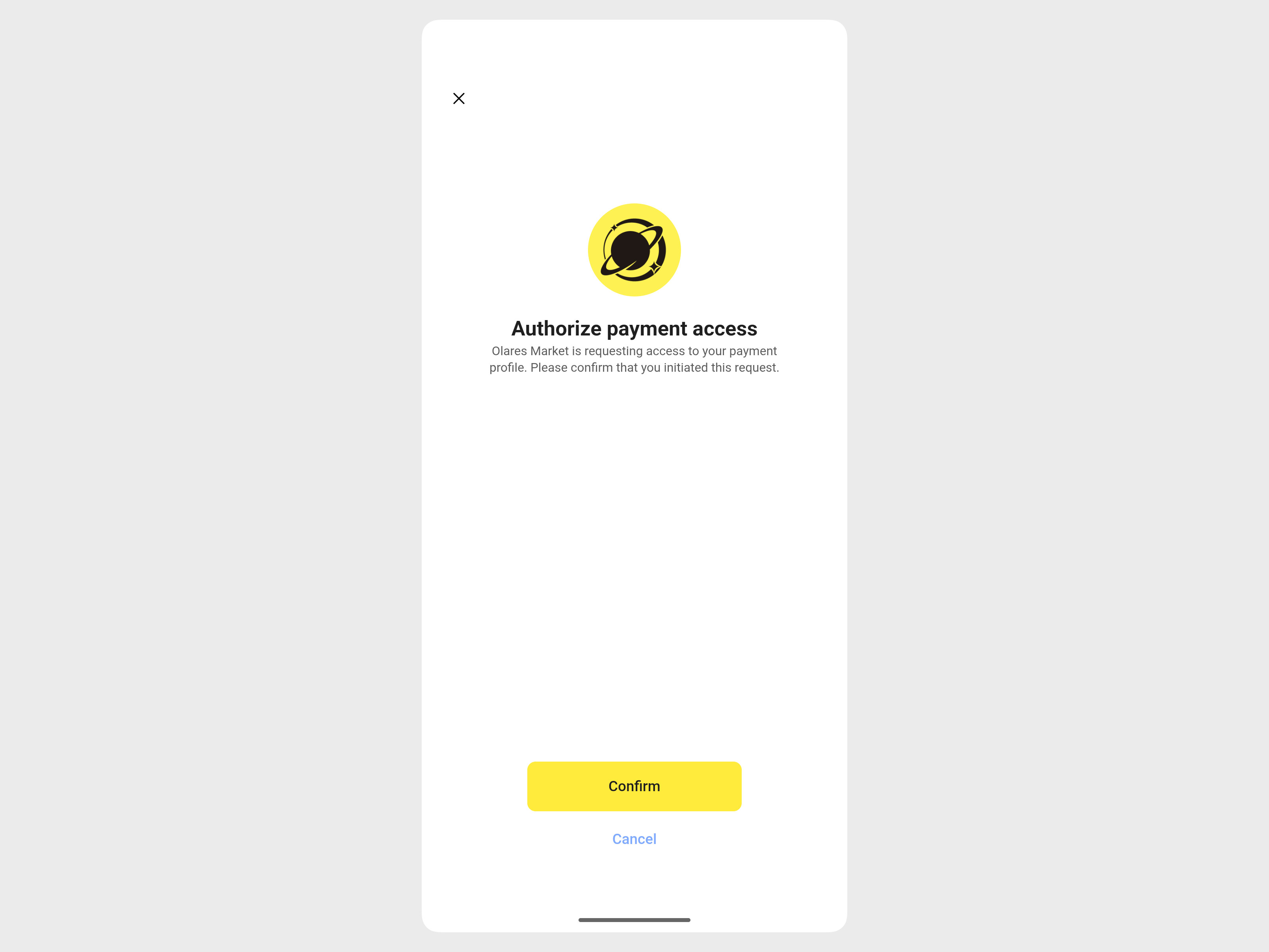 Authorize payment access