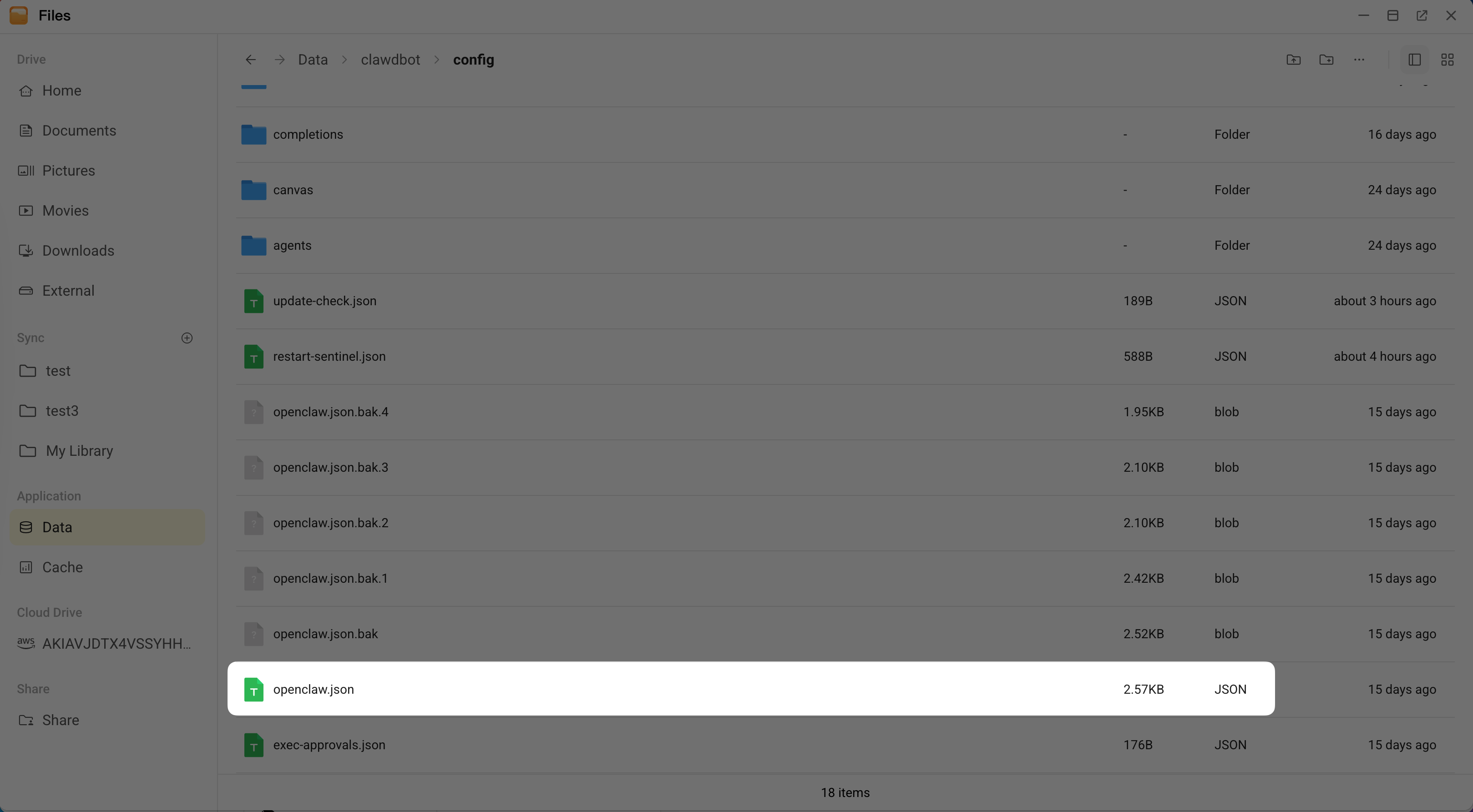 OpenClaw configuration file