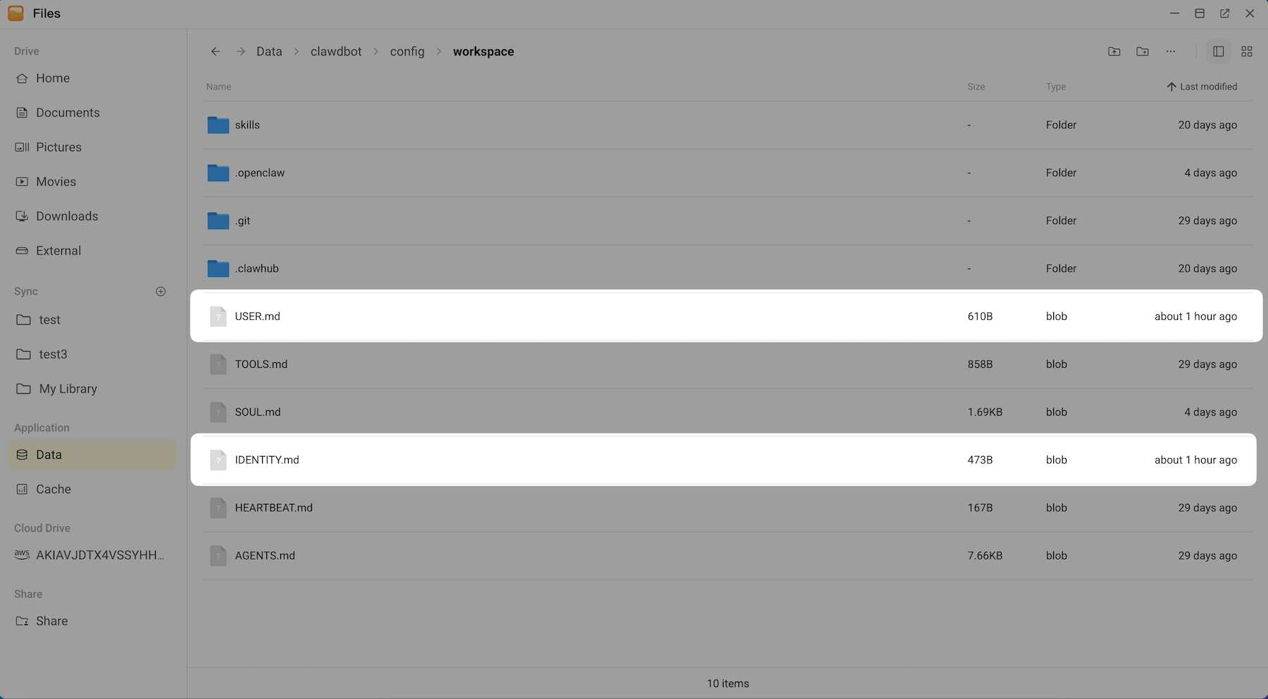 Persona files generated by OpenClaw