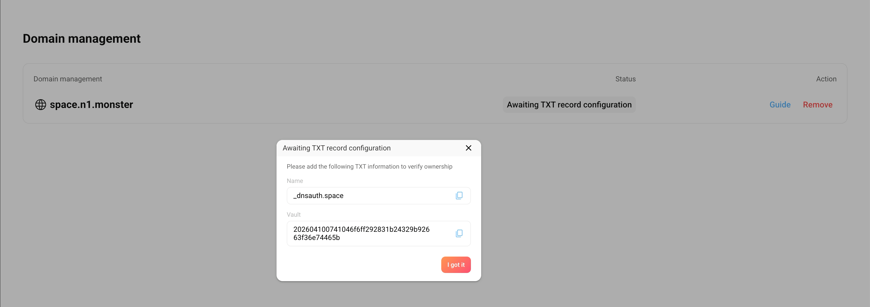 Add TXT record in DNS provider