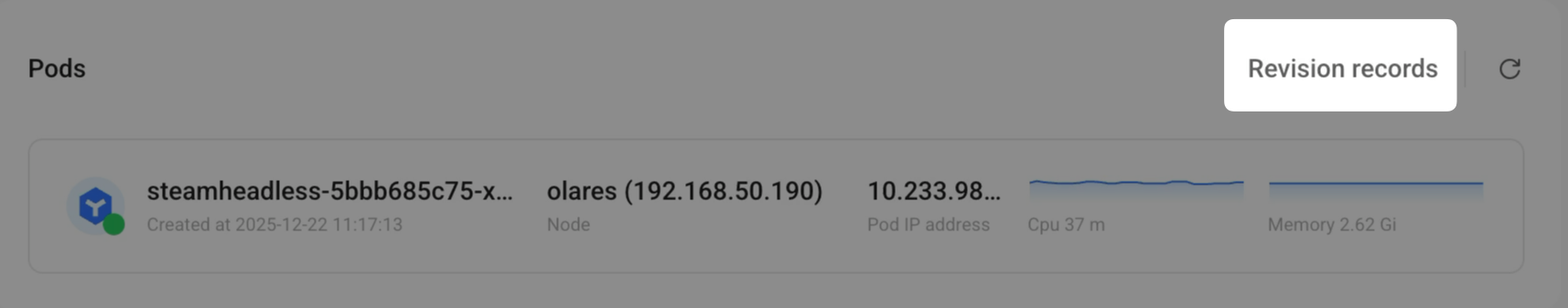 Check revision records