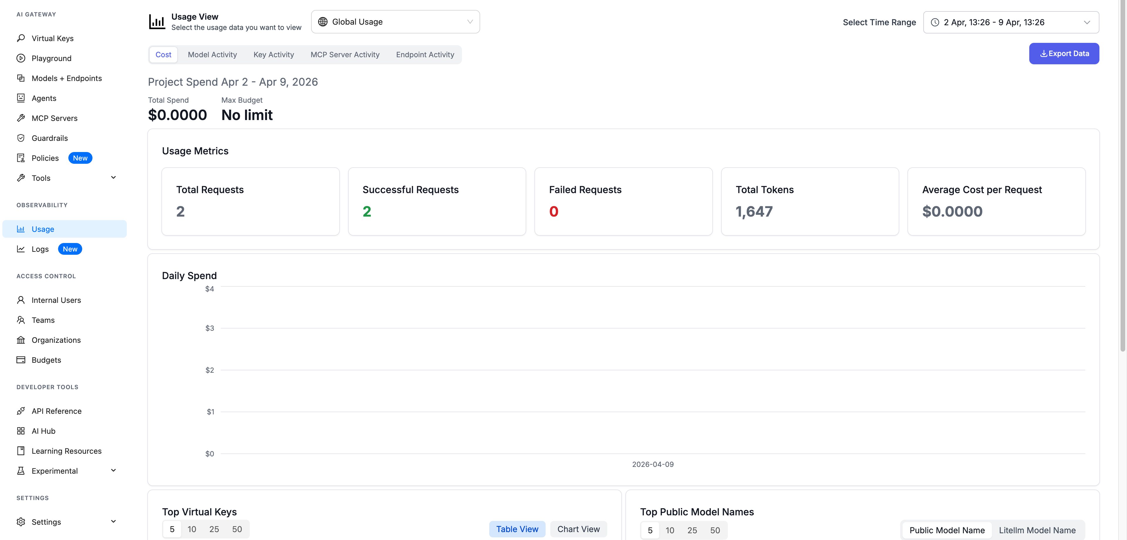 LiteLLM usage statistics