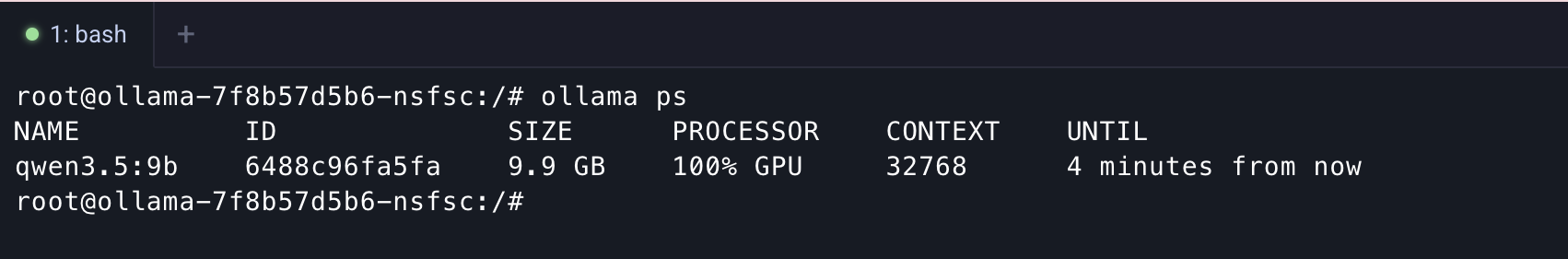 View model details in Ollama terminal