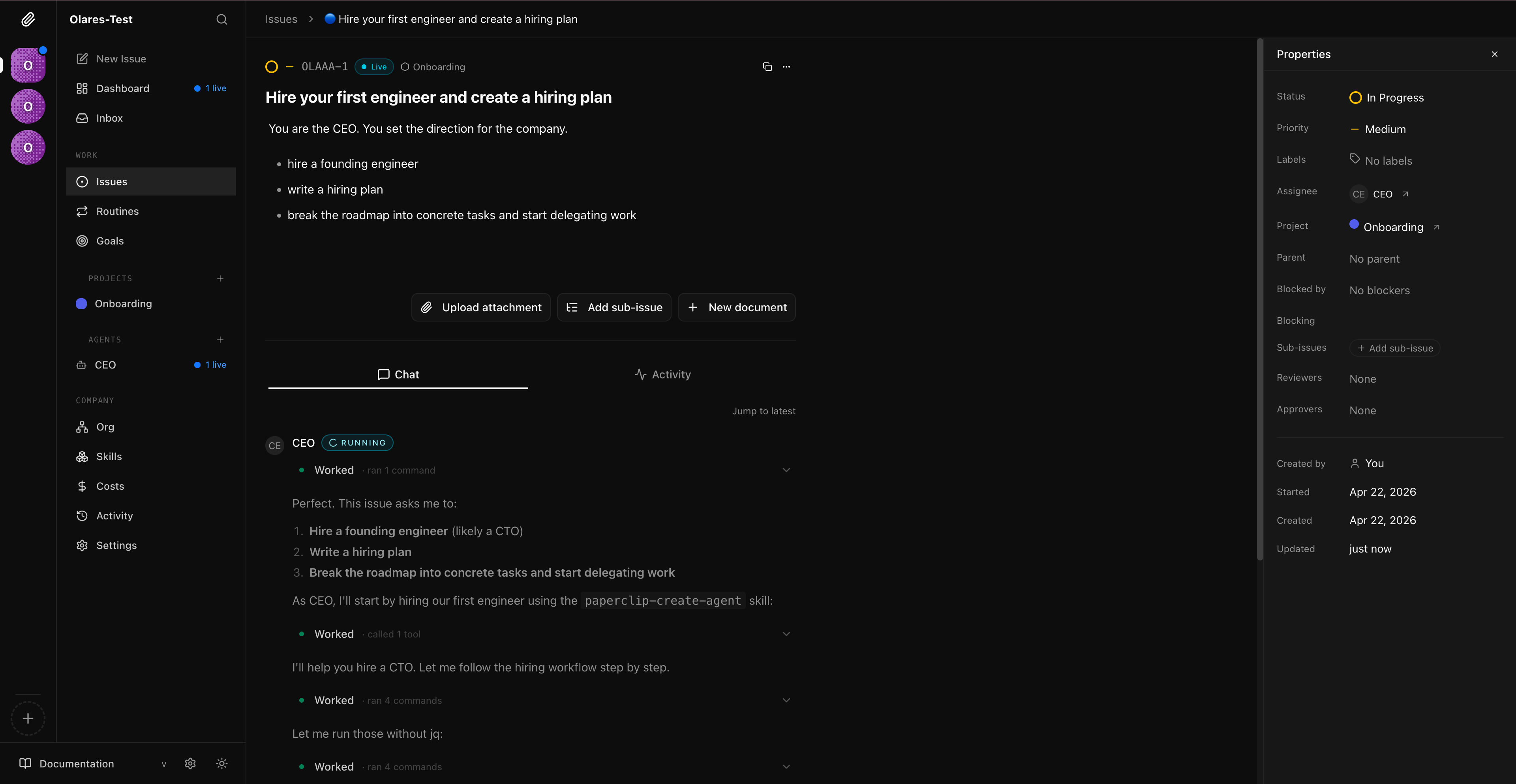 Issue page after setup