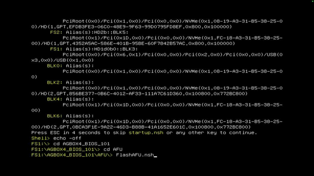 Run BIOS flash script