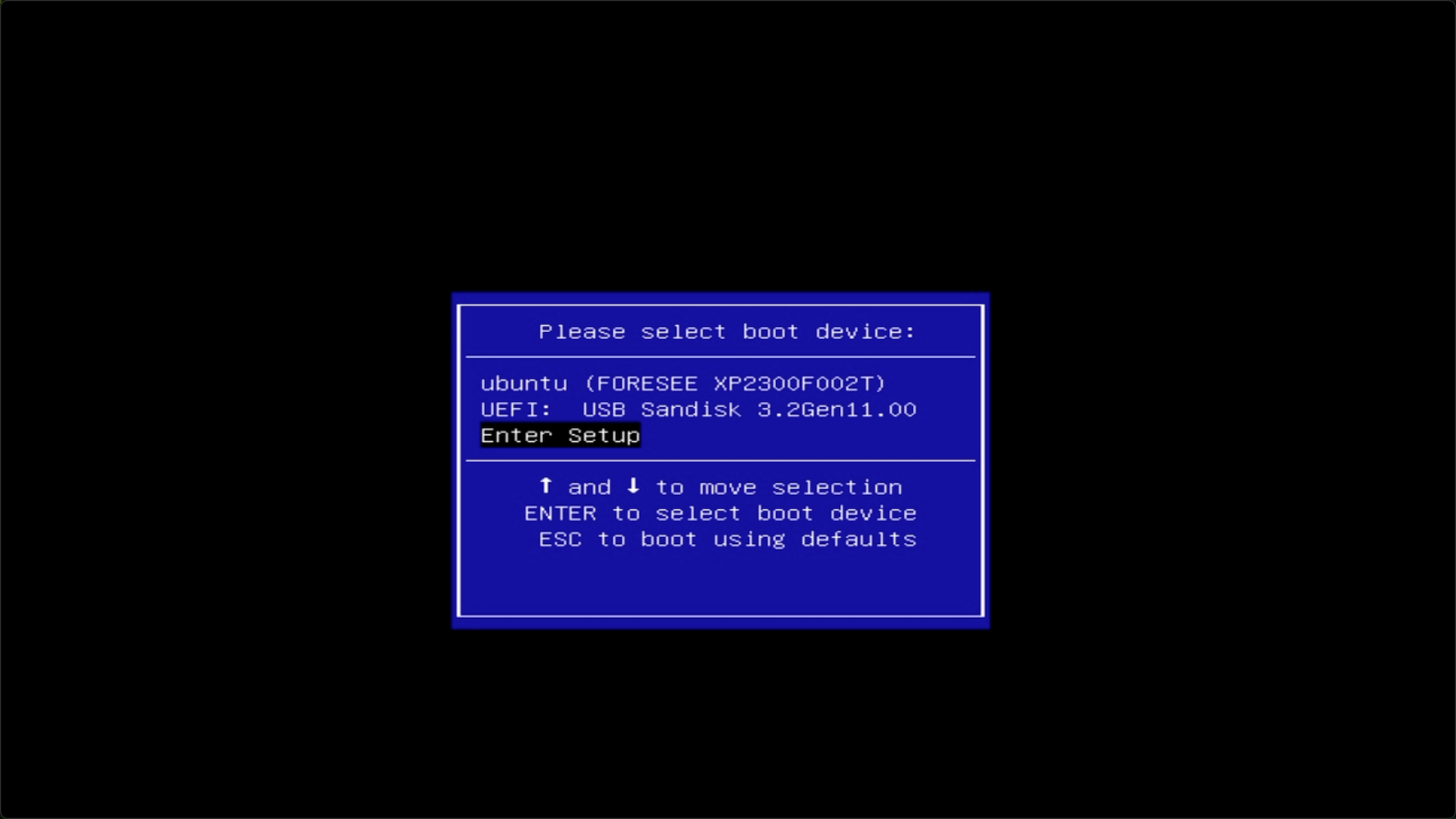 Enter setup for BIOS