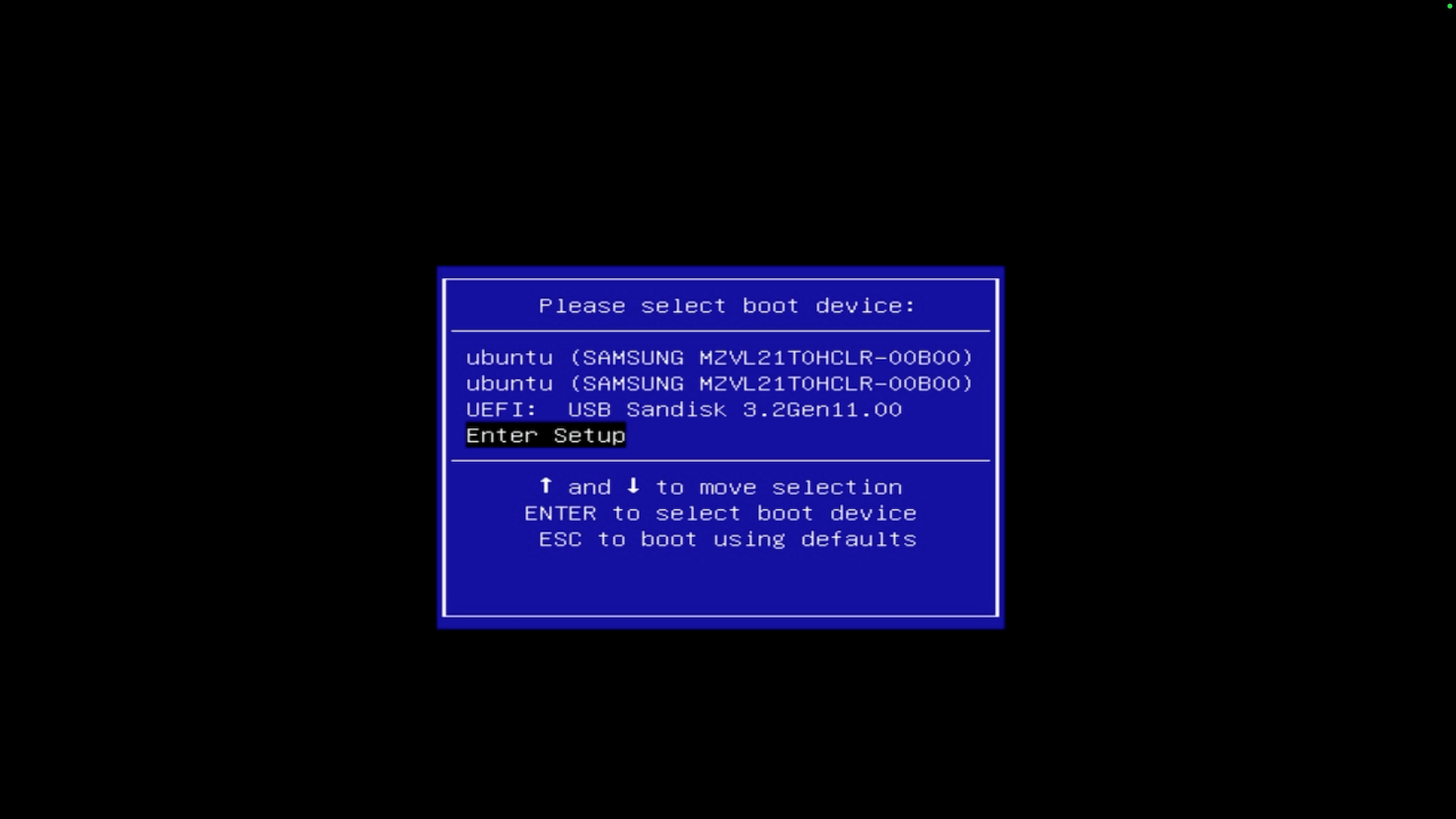 Enter setup for BIOS