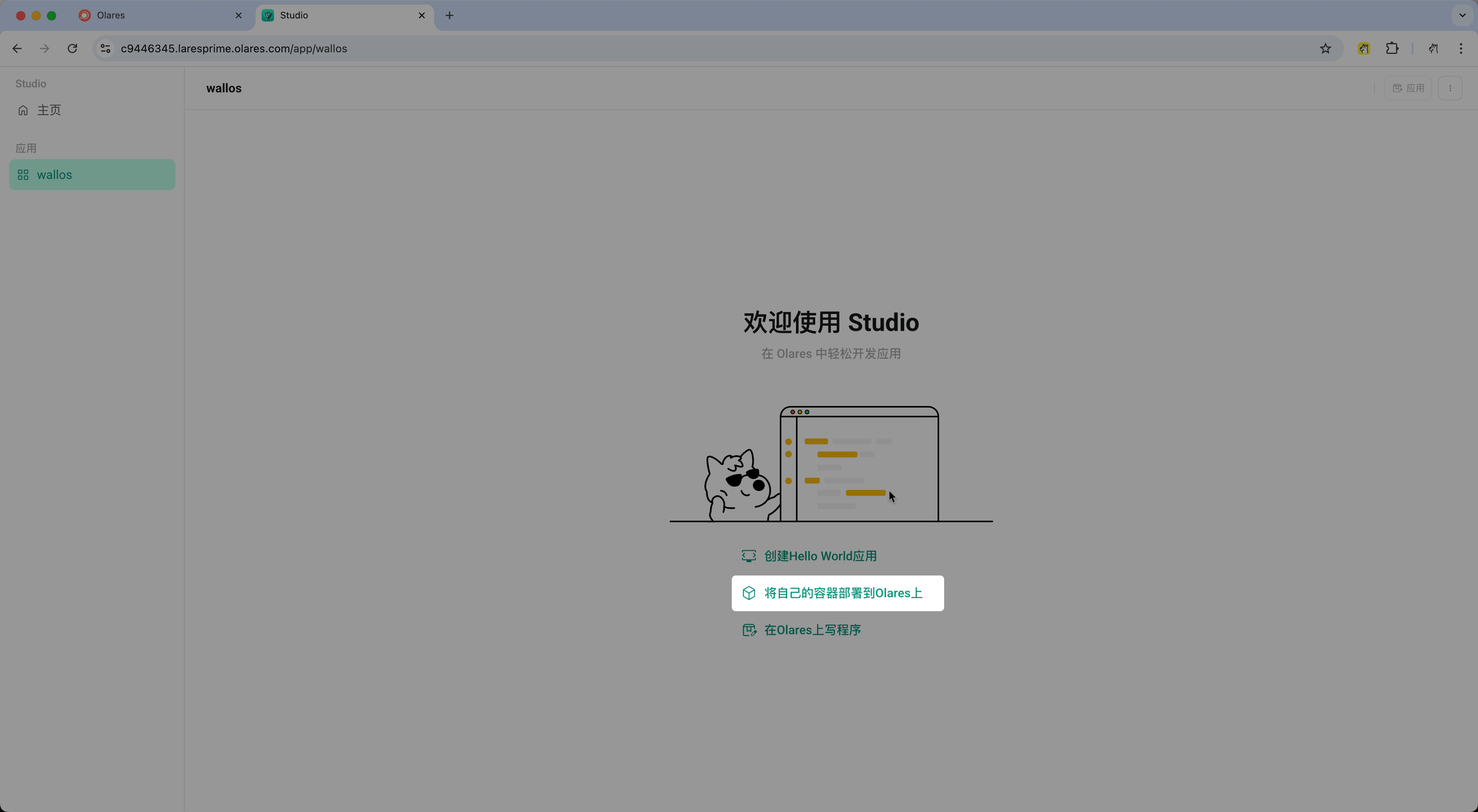将自己的容器部署到 Olares 上